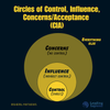 Circle of Control, Circle of Influence, Circle of Concern and Acceptance. (CIA model)