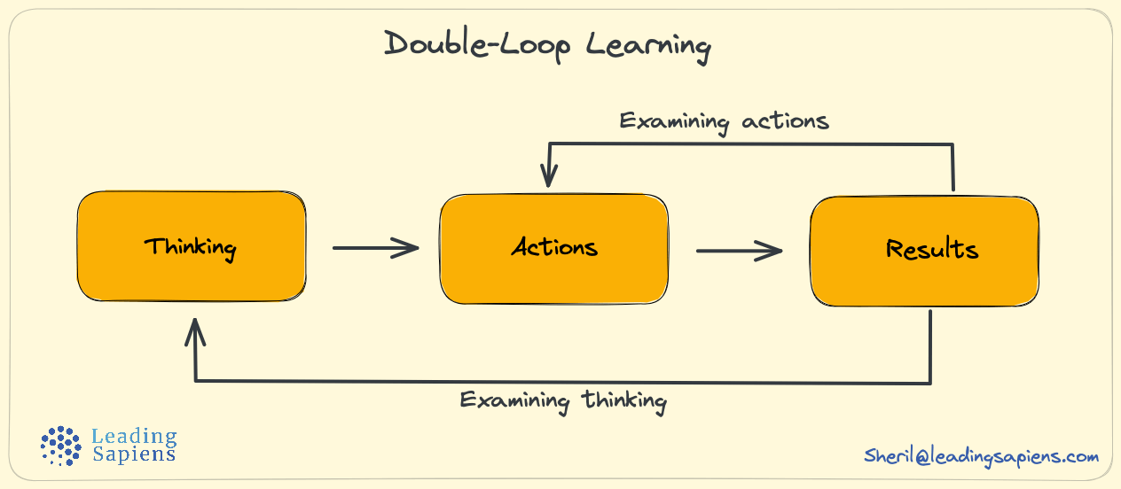 How Double Loop Learning Improves Performance